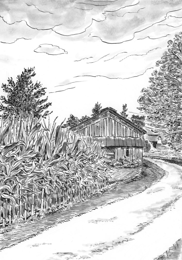 Cornfield Wash